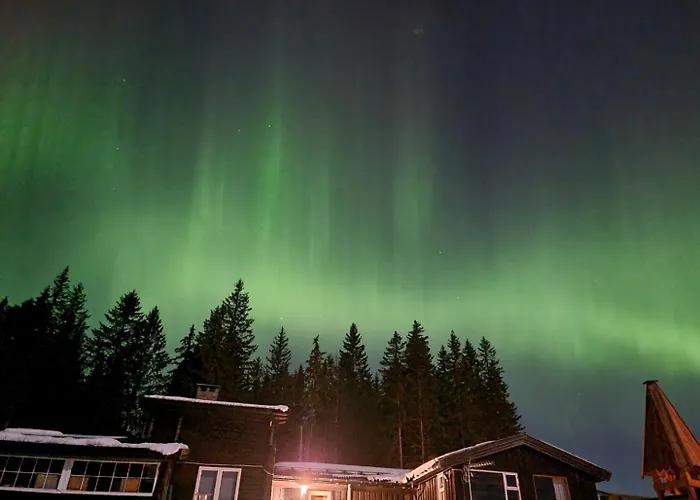 Onskedrommen Hytteutleie