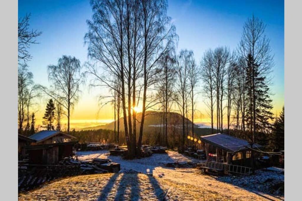 Onskedrommen *