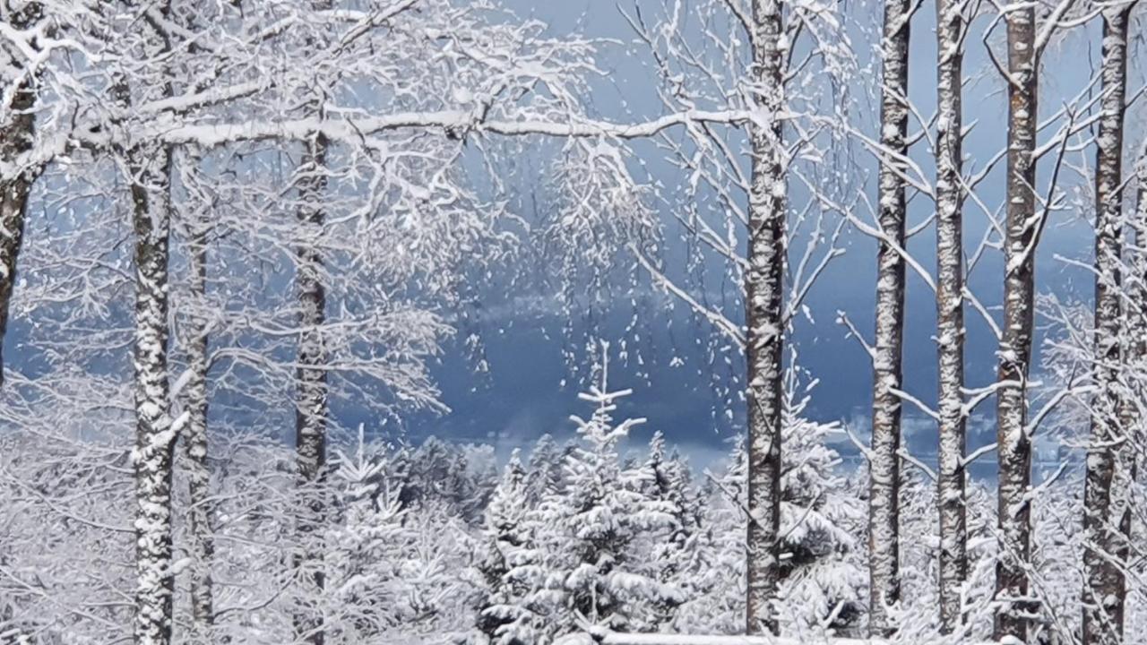 Onskedrommen *