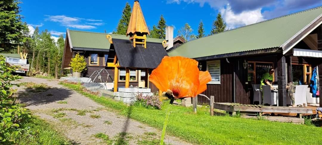 Onskedrommen Apartment Brandbu